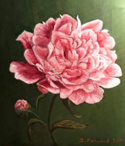 Pivoine2