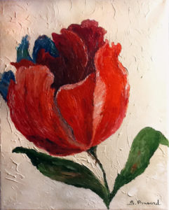 Tulipe